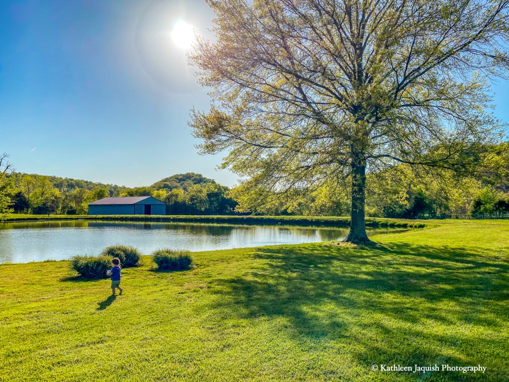 The Best of Last&nbsp;Week