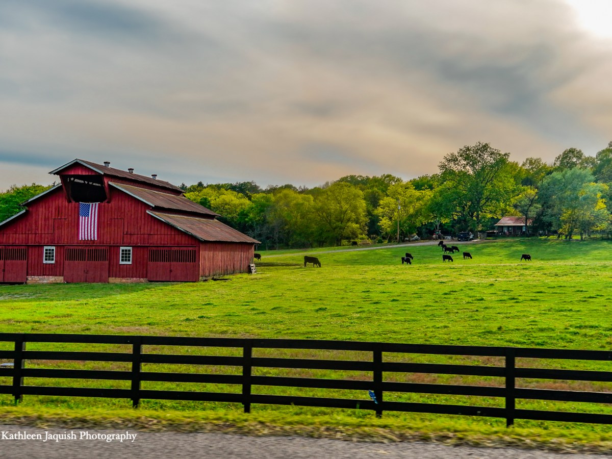 Springtime in Franklin • April 26,&nbsp;2021