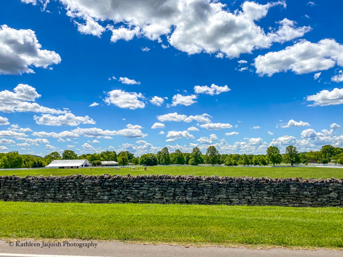 An Unexpected Beautiful Thursday ▪️ May 13,&nbsp;2021