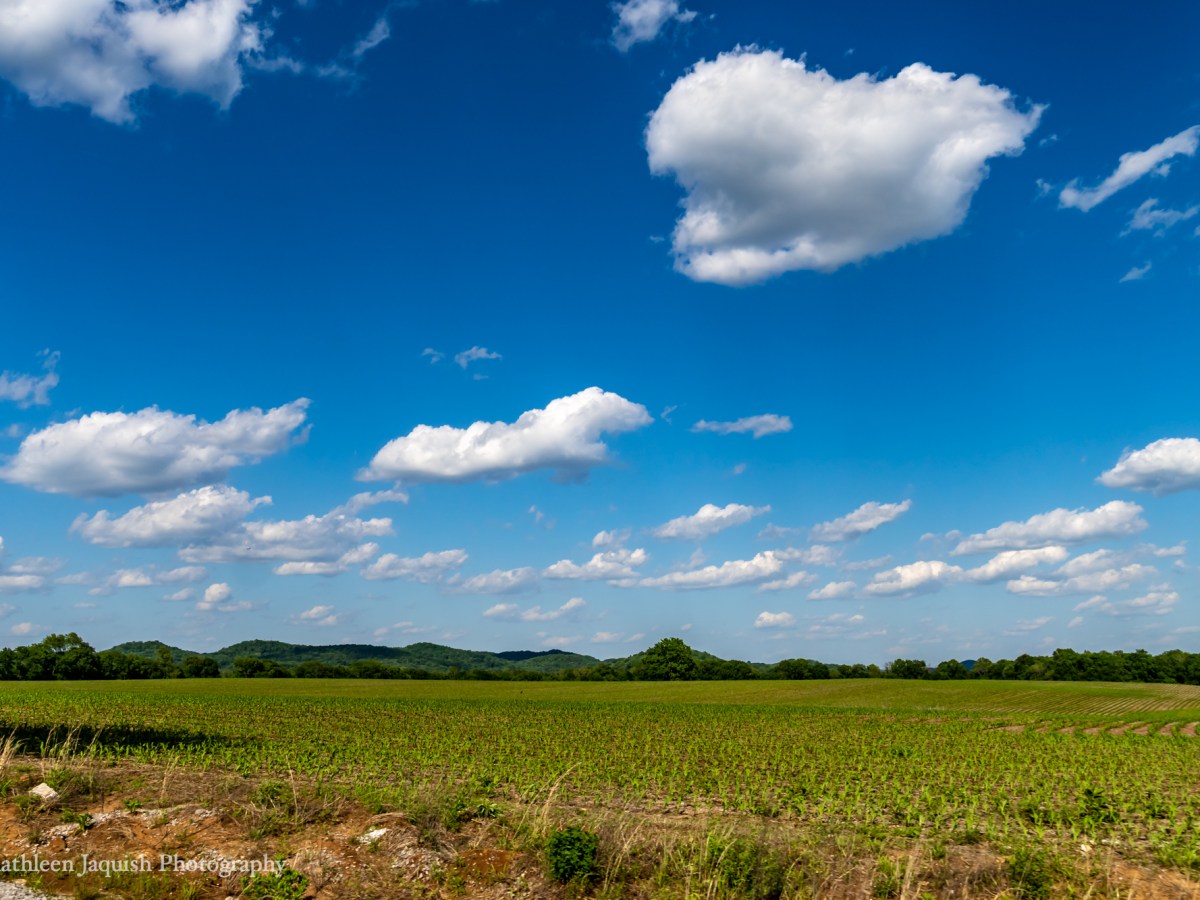 A Beautiful Friday ◉ May 6,&nbsp;2021