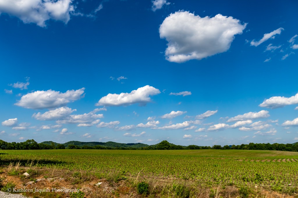 A Beautiful Friday ◉ May 6,&nbsp;2021